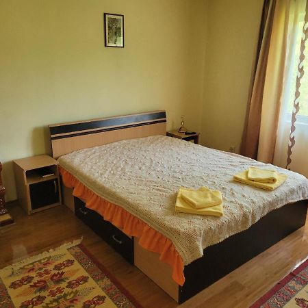 Villa Casa Damian Bertea Esterno foto