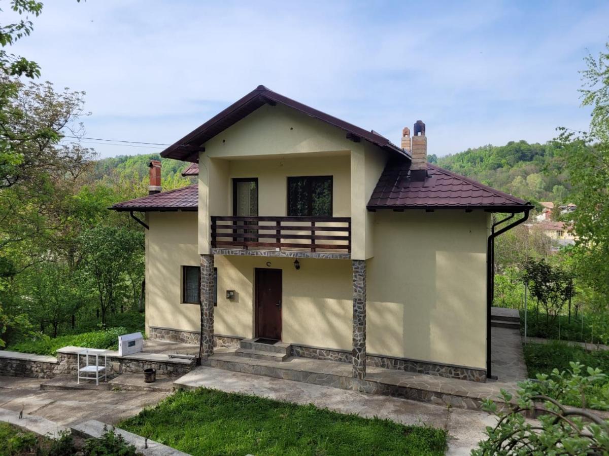 Villa Casa Damian Bertea Esterno foto