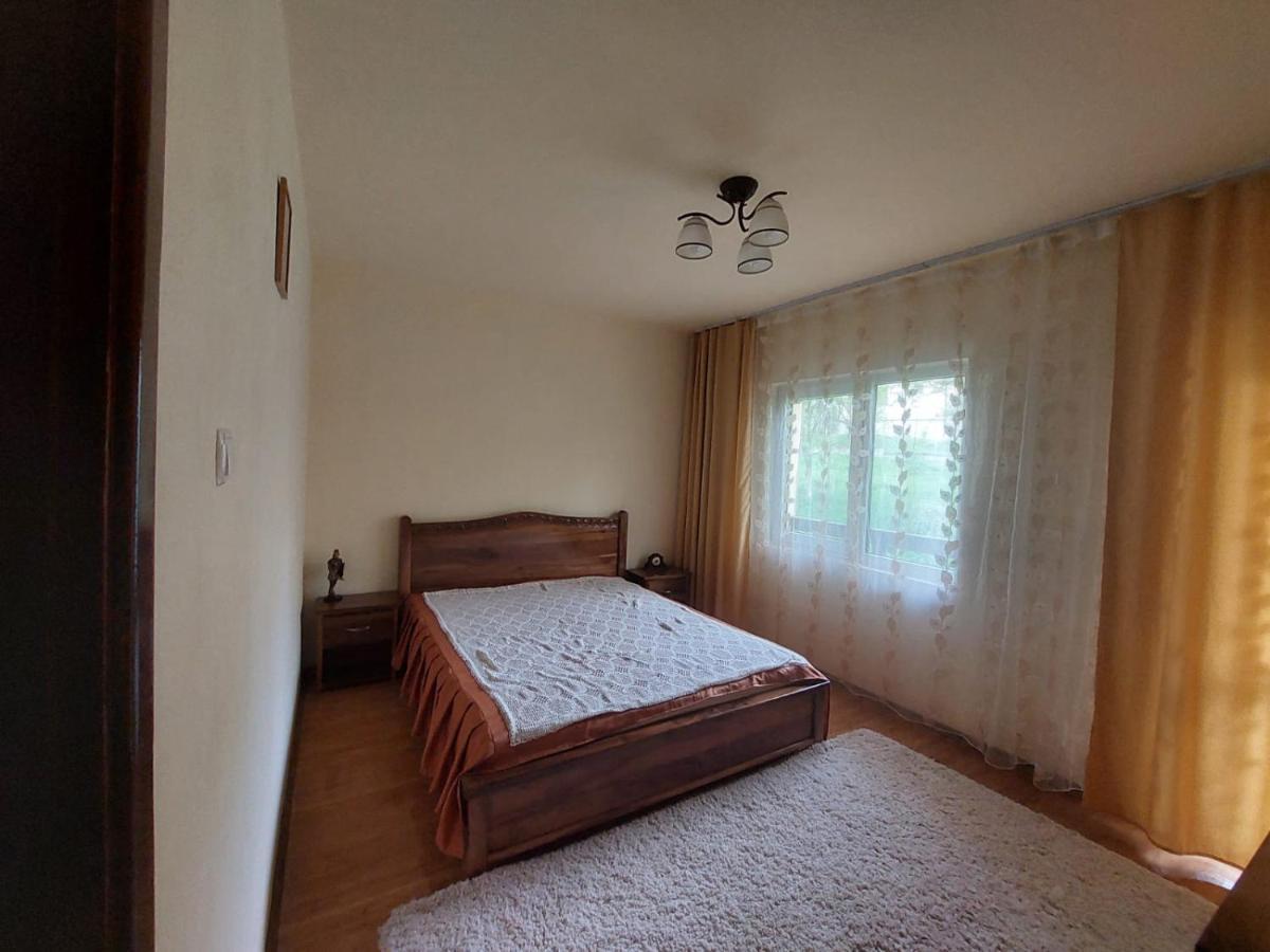 Villa Casa Damian Bertea Esterno foto